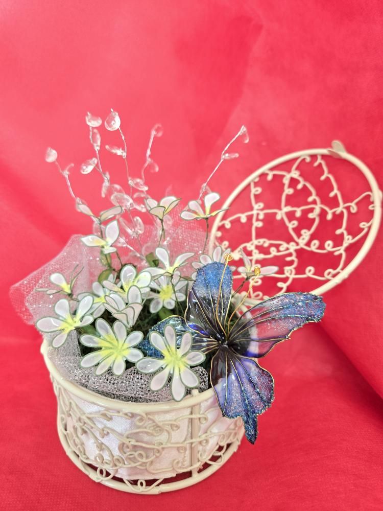 季節の花ノースポール